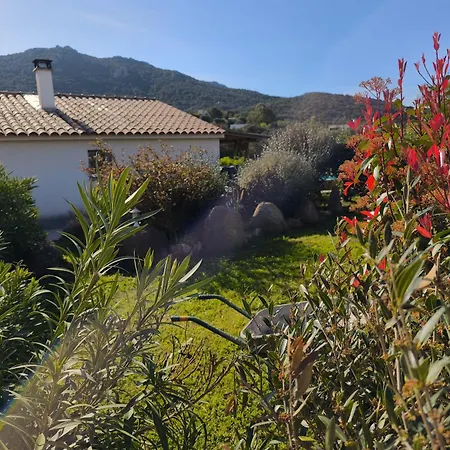 Isula Bella Figari (Corsica)